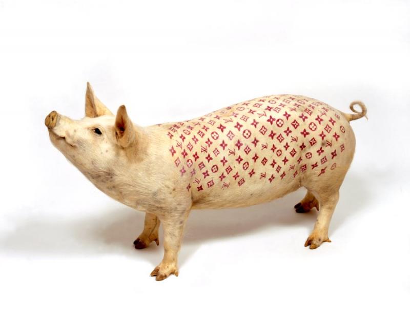 Des cochons tatoués bannis d’une exposition d’art moderne