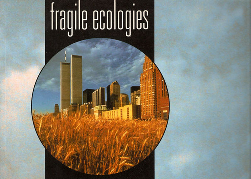 Fragile ecologies: contemporary artists’ interpretations and solutions
