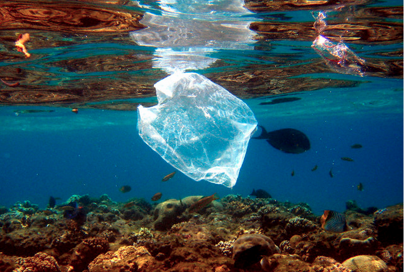 Regard N°63 La dégradation des plastiques en mer