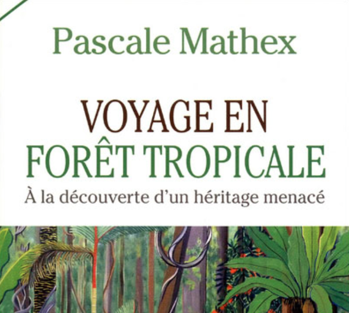 « Voyage en forêt tropicale, à la découverte d’un héritage menacé »