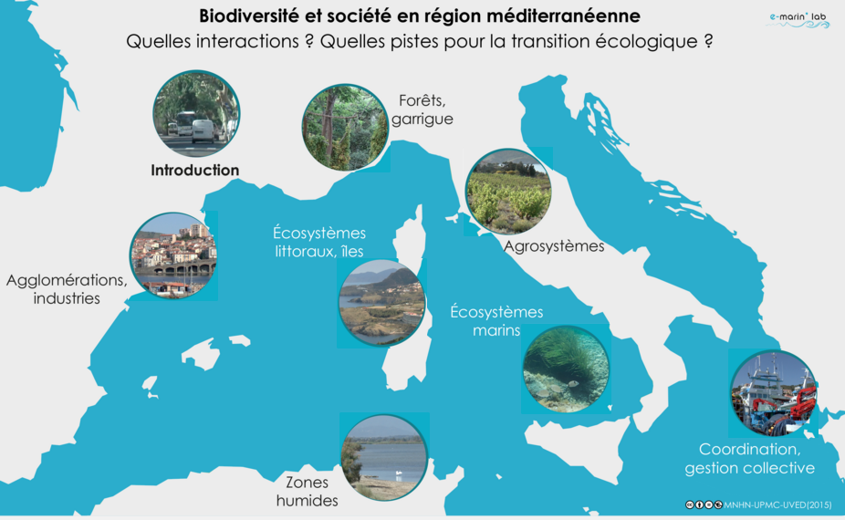 Biodiversité et société en région Méditerranéenne